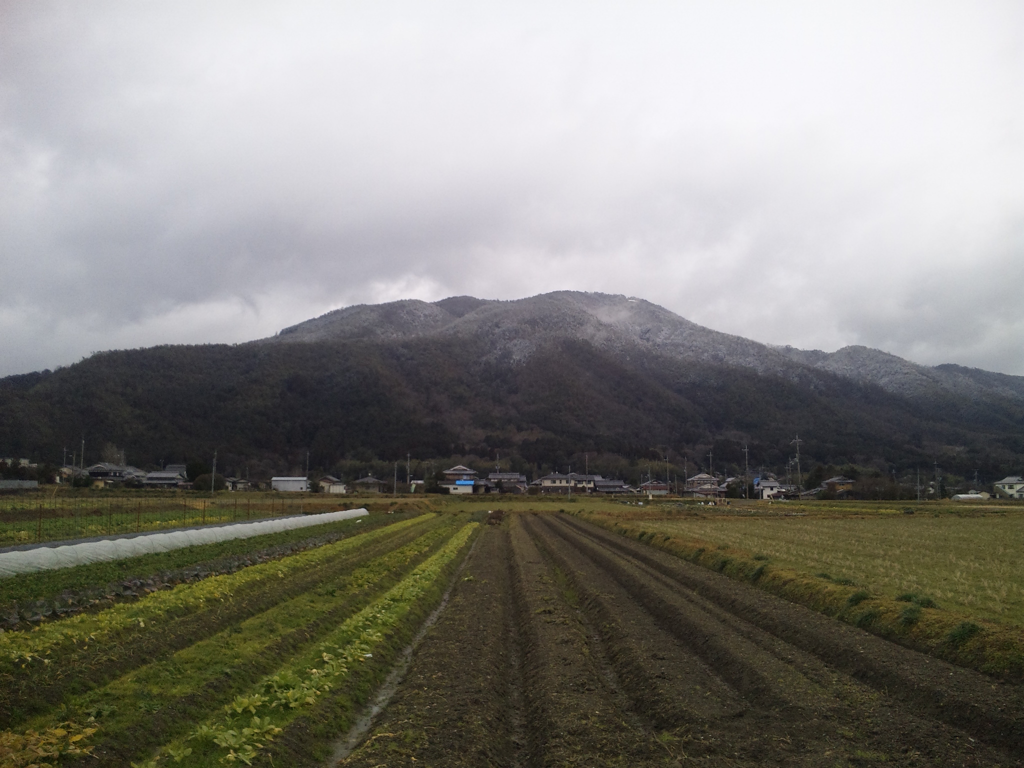 雪をかぶる三郎ヶ岳